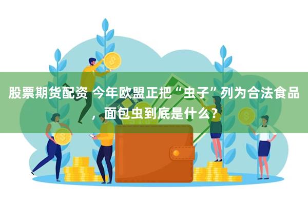 股票期货配资 今年欧盟正把“虫子”列为合法食品，面包虫到底是什么？