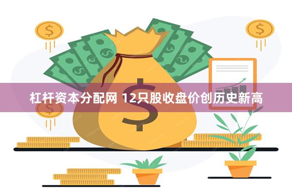 杠杆资本分配网 12只股收盘价创历史新高