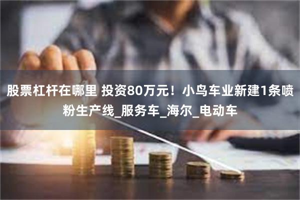 股票杠杆在哪里 投资80万元！小鸟车业新建1条喷粉生产线_服务车_海尔_电动车